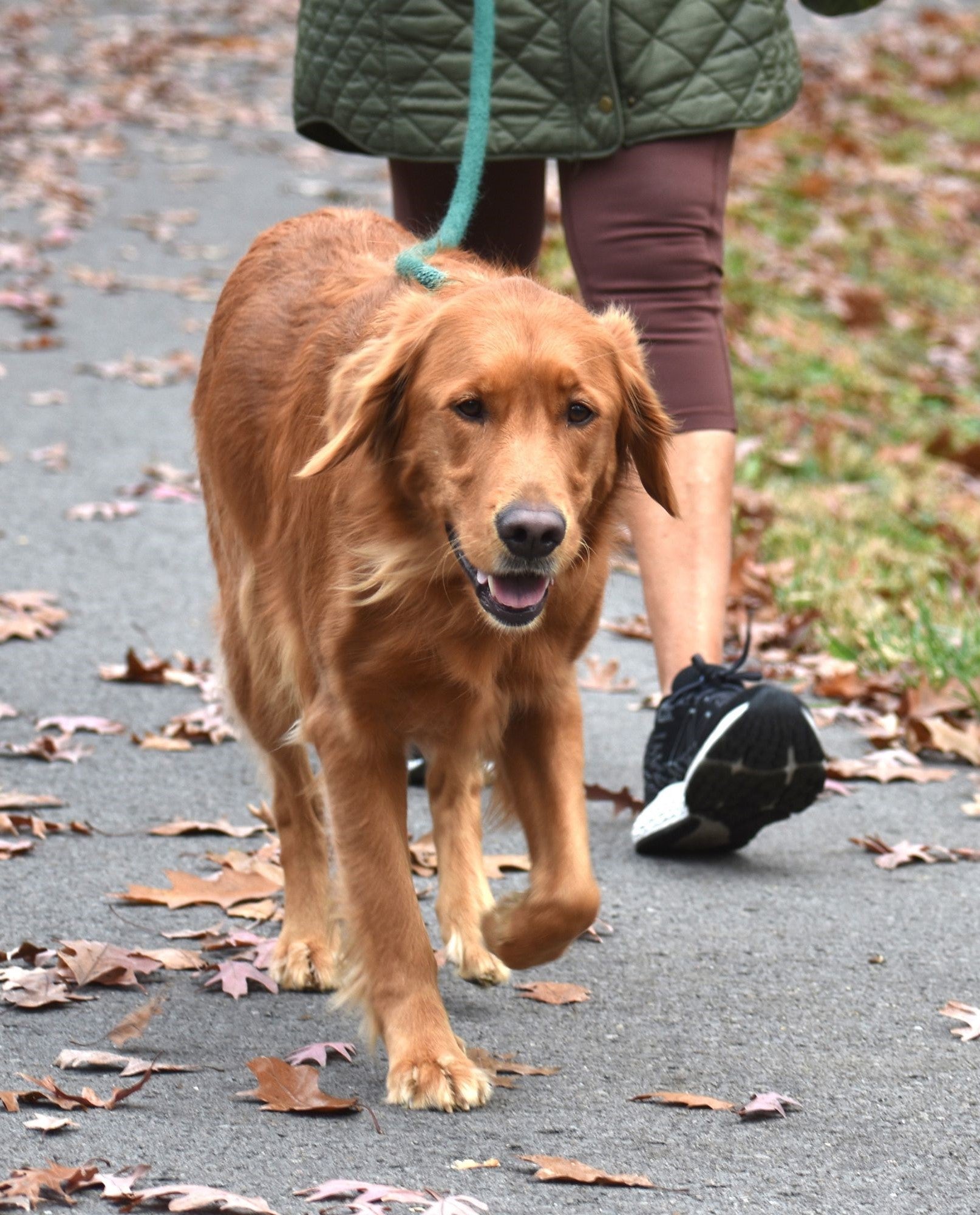 Walking & Outdoor