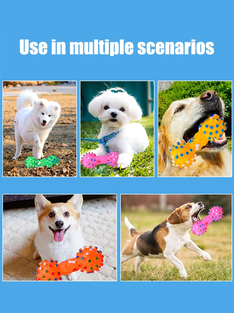 Zensory DentalChew Ball™