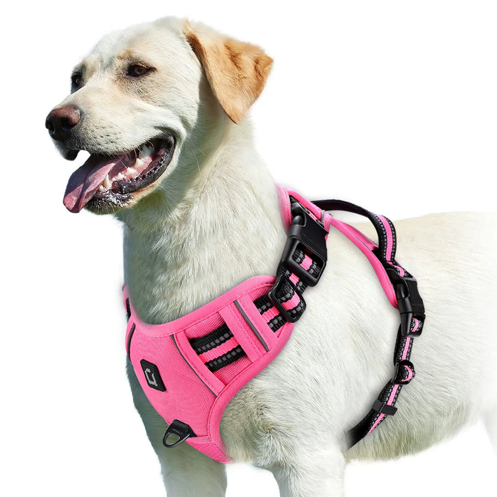Zensory No-Pull Harness™