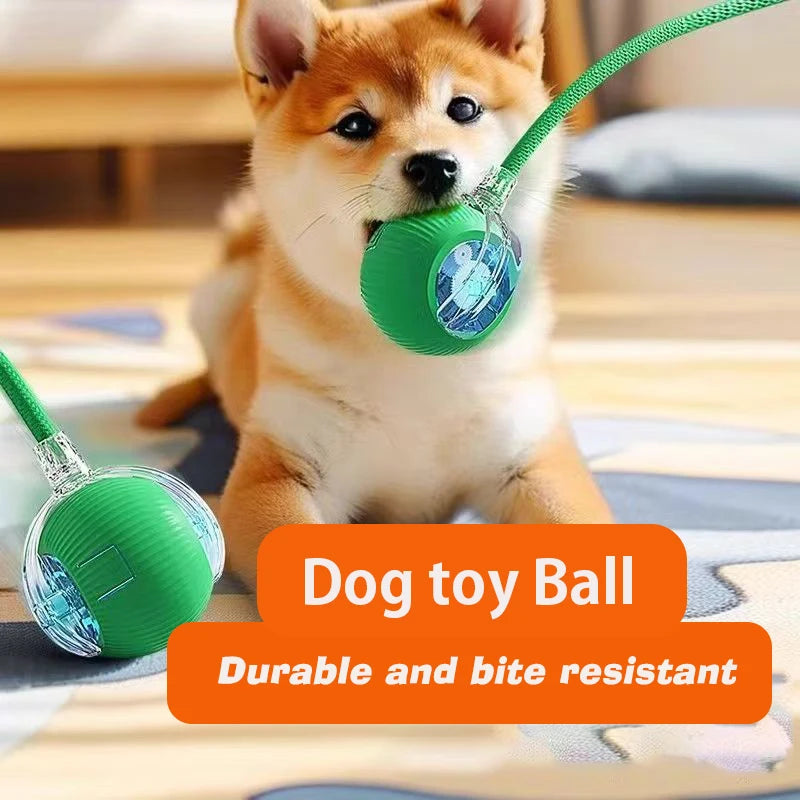 Zensory SmartPlay Ball™