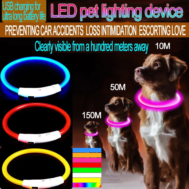 Zensory GlowSafe Collar™