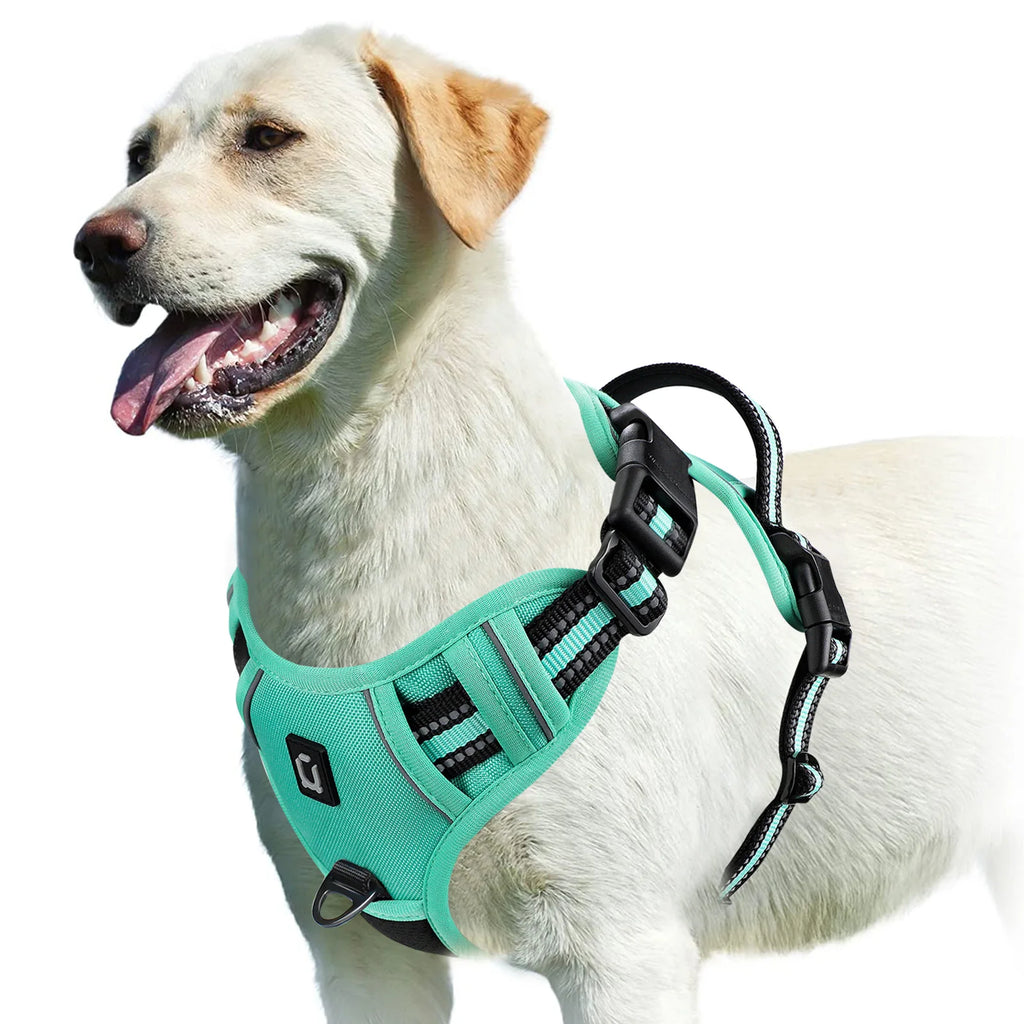 Zensory No-Pull Harness™