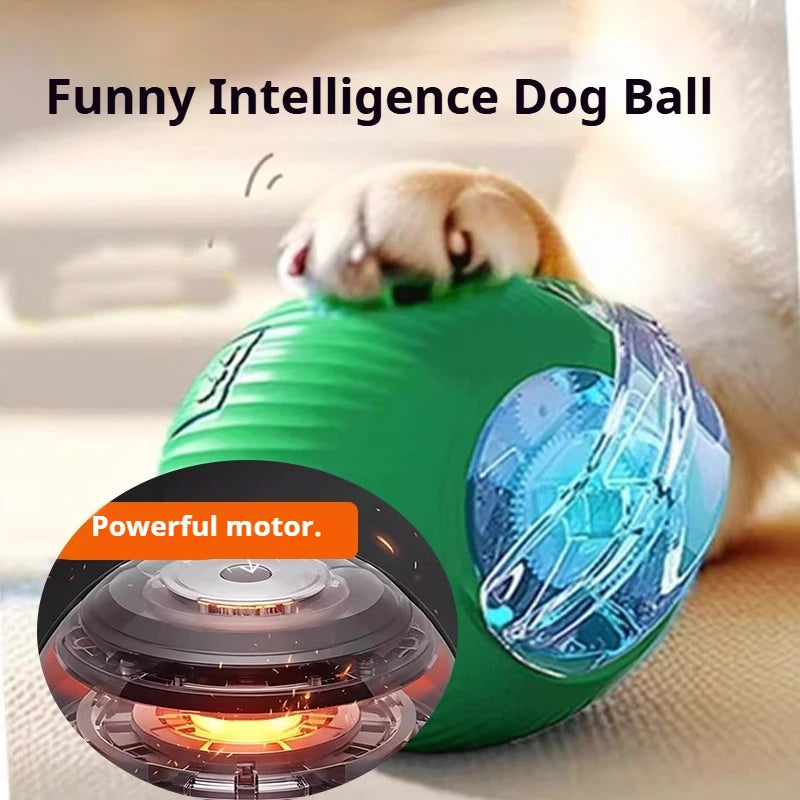 Zensory SmartPlay Ball™