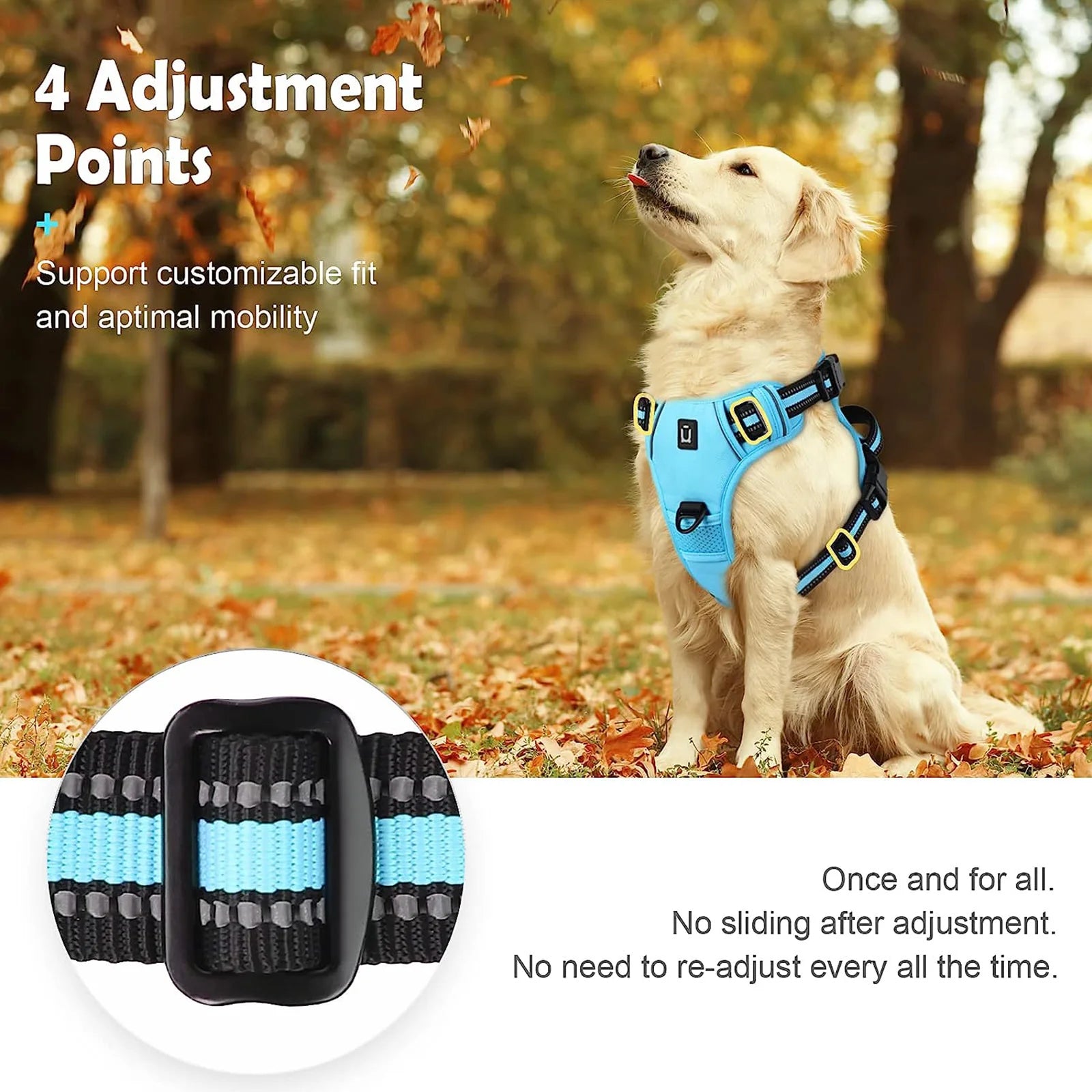 Zensory No-Pull Harness™