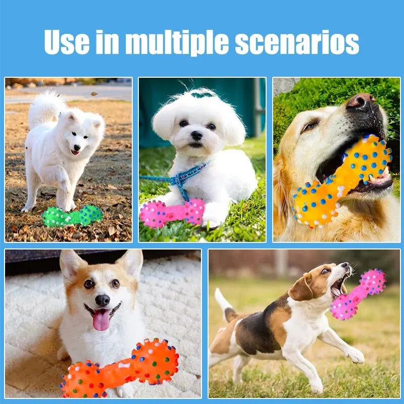 Zensory DentalChew Ball™