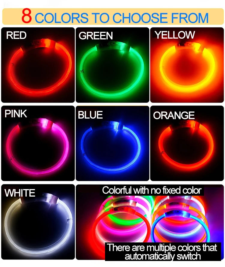 Zensory GlowSafe Collar™