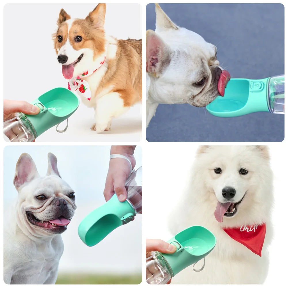 Zensory HydroGo Bottle™