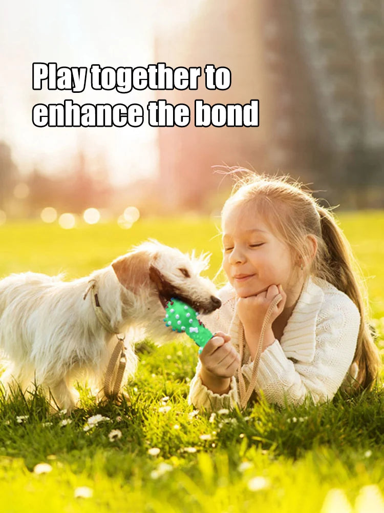 Zensory DentalChew Ball™