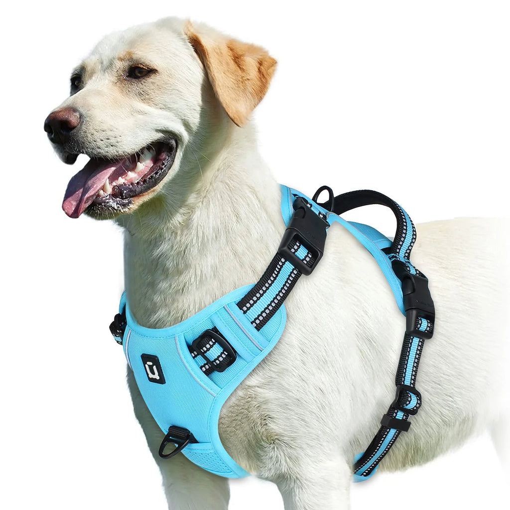 Zensory No-Pull Harness™