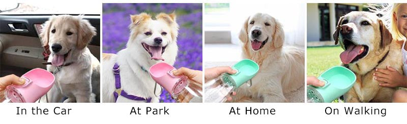 Zensory HydroGo Bottle™