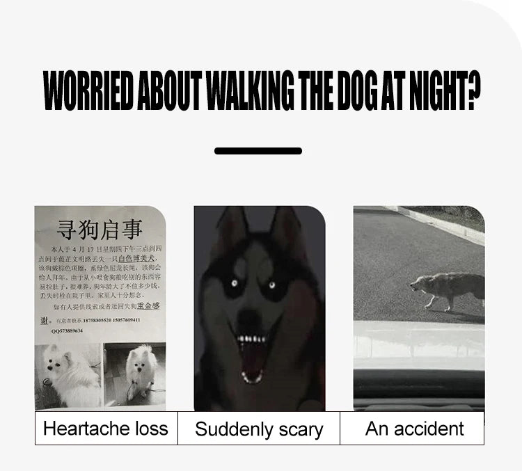 Zensory GlowSafe Collar™
