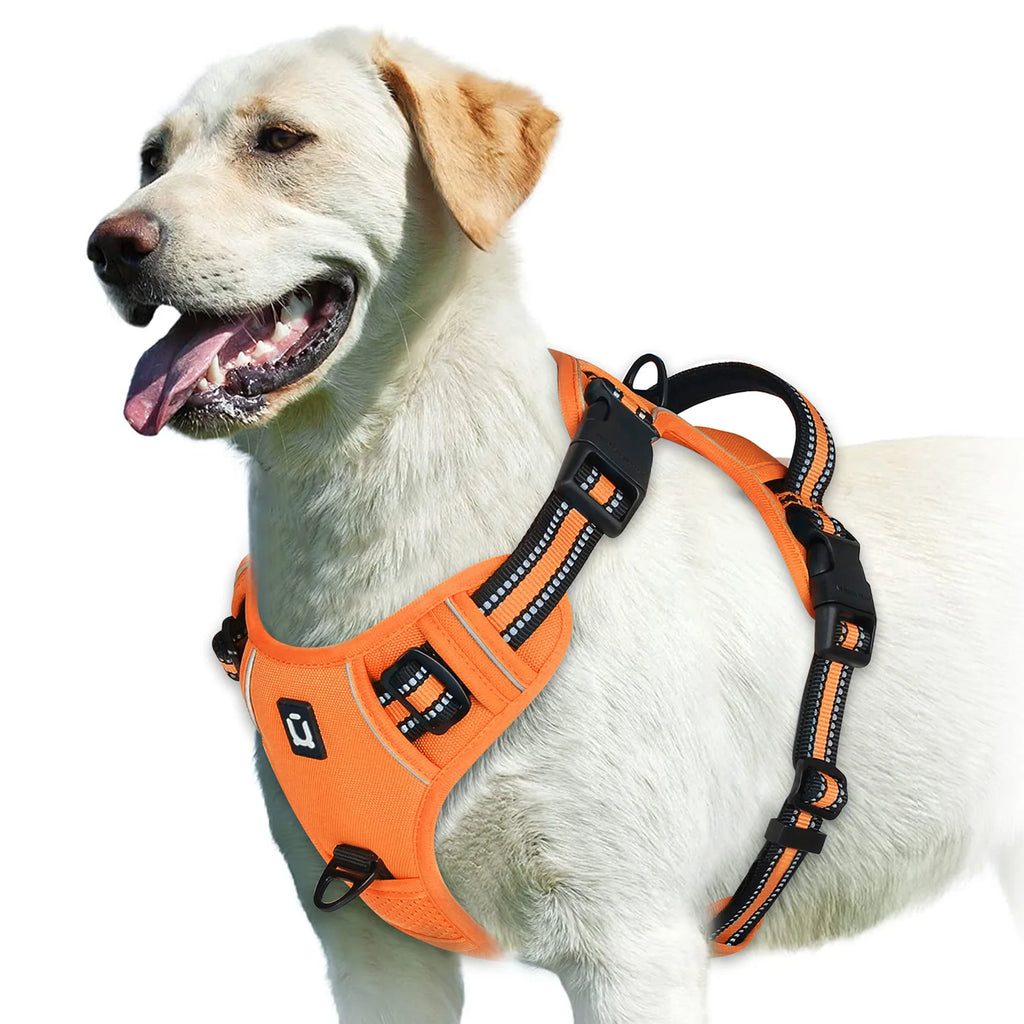 Zensory No-Pull Harness™