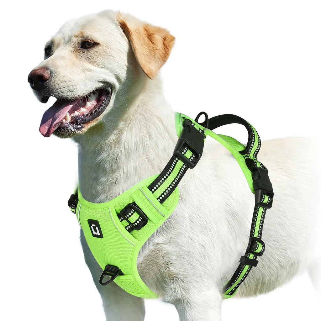 Zensory No-Pull Harness™
