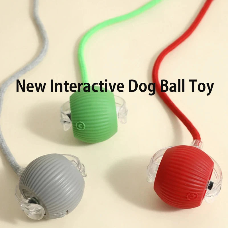Zensory SmartPlay Ball™