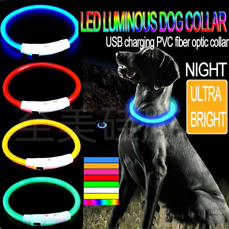 Zensory GlowSafe Collar™