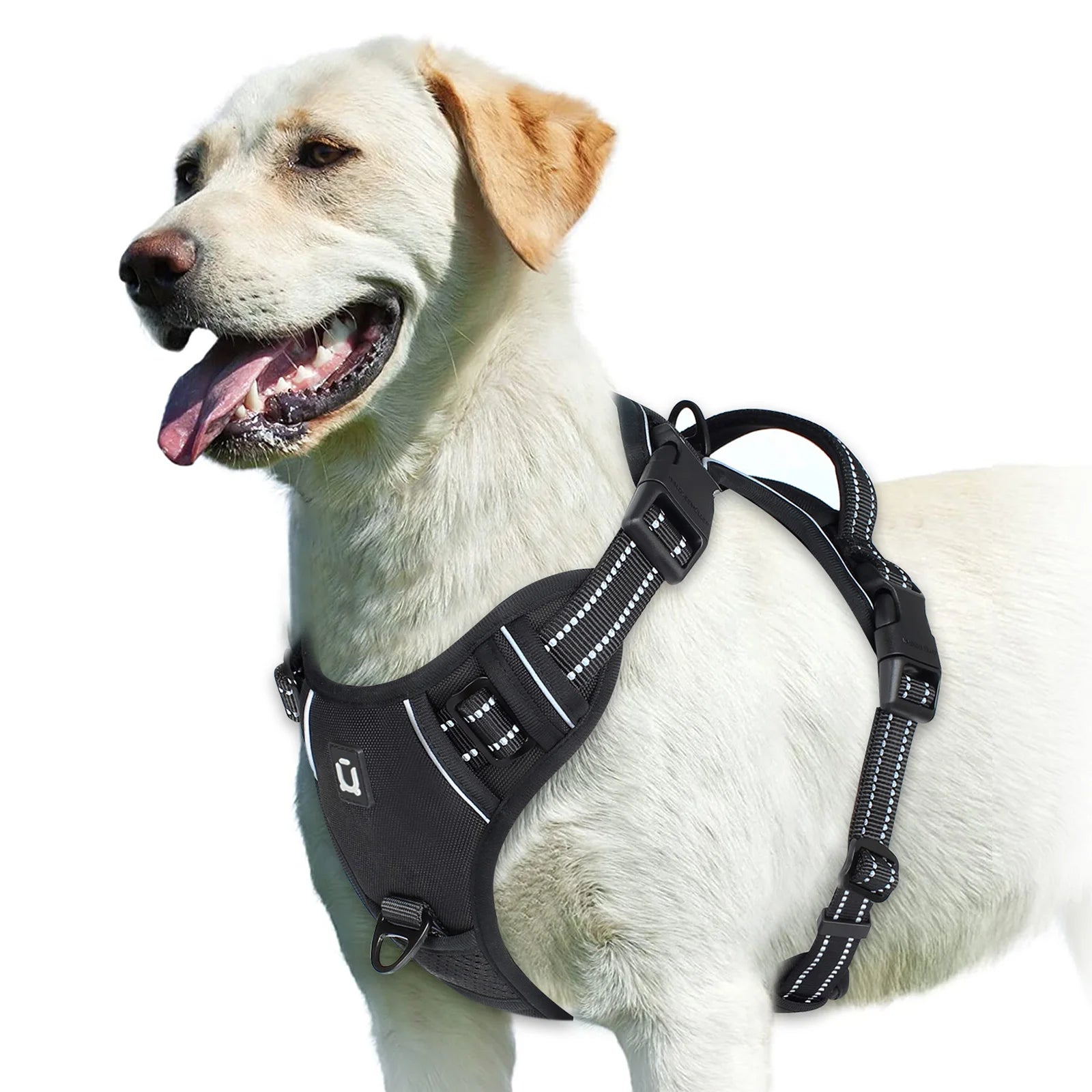 Zensory No-Pull Harness™