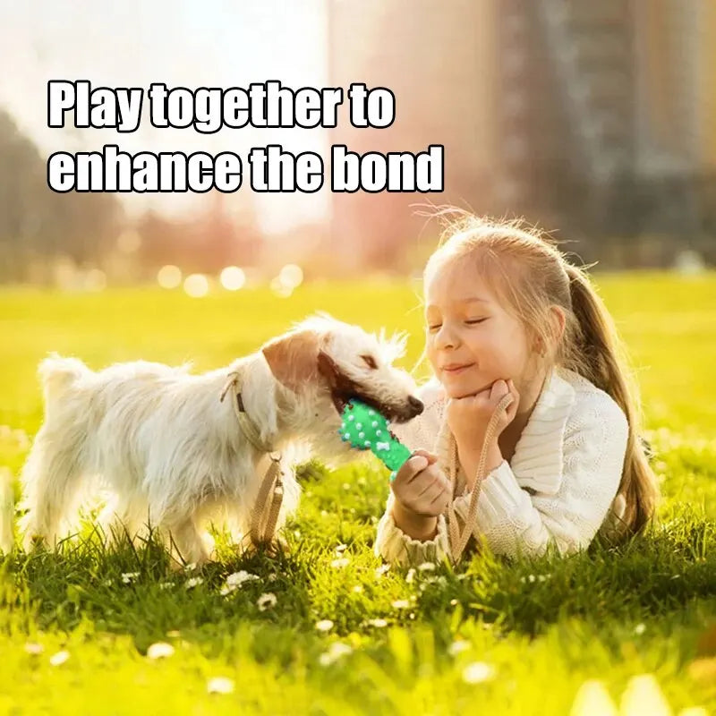 Zensory DentalChew Ball™