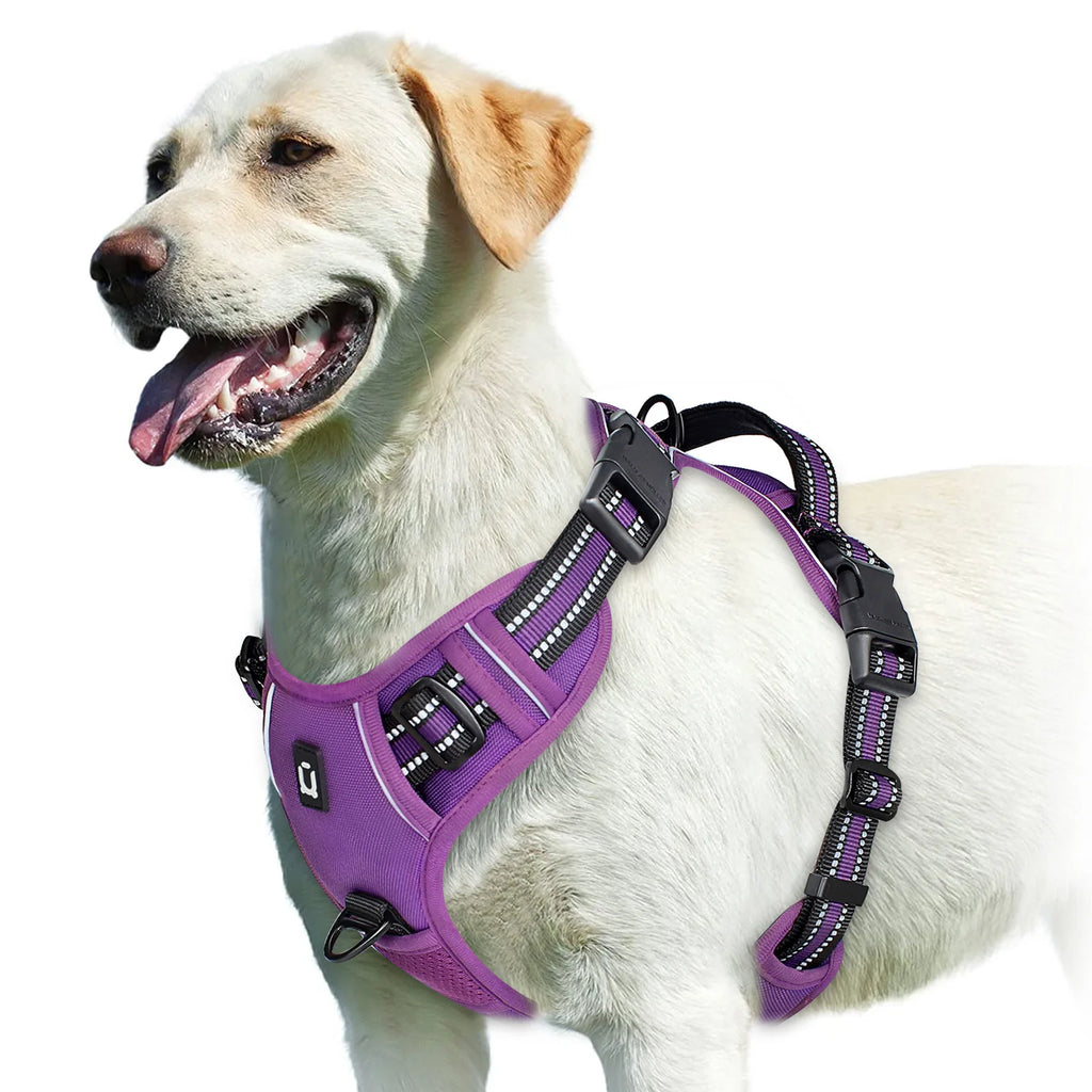 Zensory No-Pull Harness™