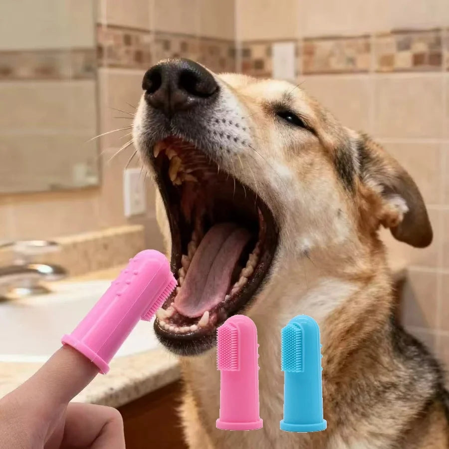 Zensory 3D Clean Toothbrush™