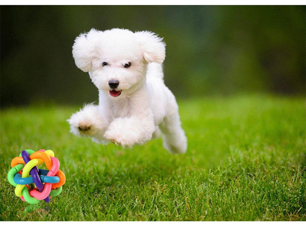 Zensory BellPlay Ball™
