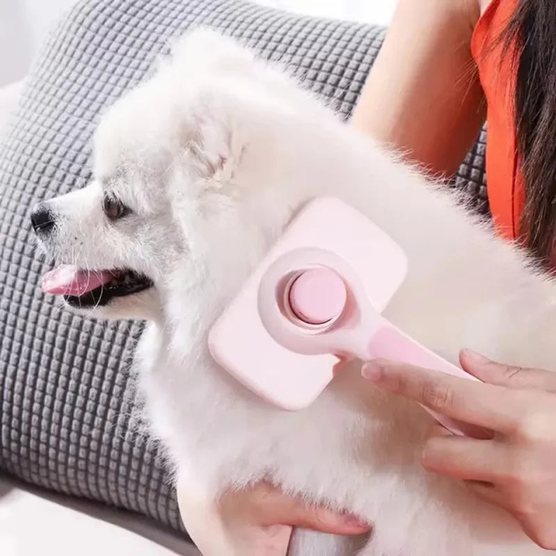 Zensory Massage Brush™